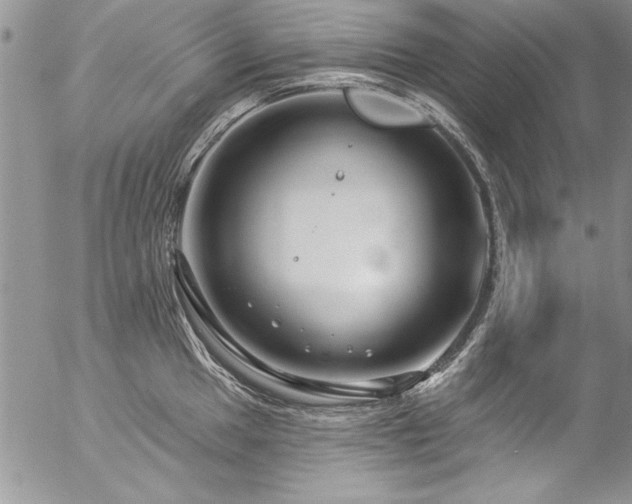 X0000057091049200509091308