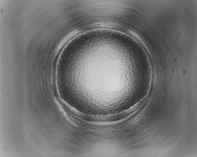 X0000057091050200509091308