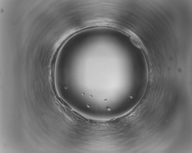 X0000057091051200509091308