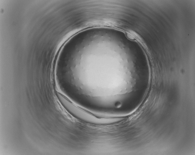 X0000057091052200509091308