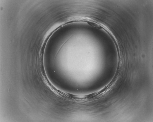 X0000057091053200509091308