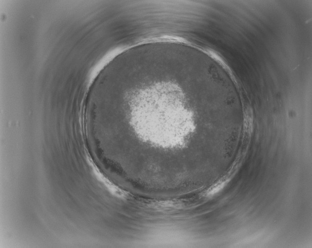 X0000057091054200509091308