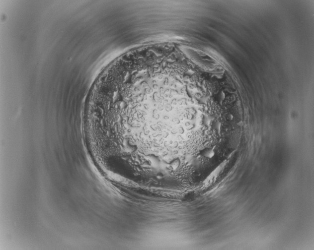 X0000057091055200509091308