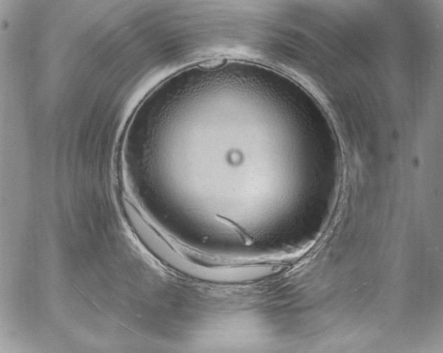 X0000057091056200509091308