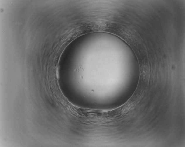 X0000057091057200509091308