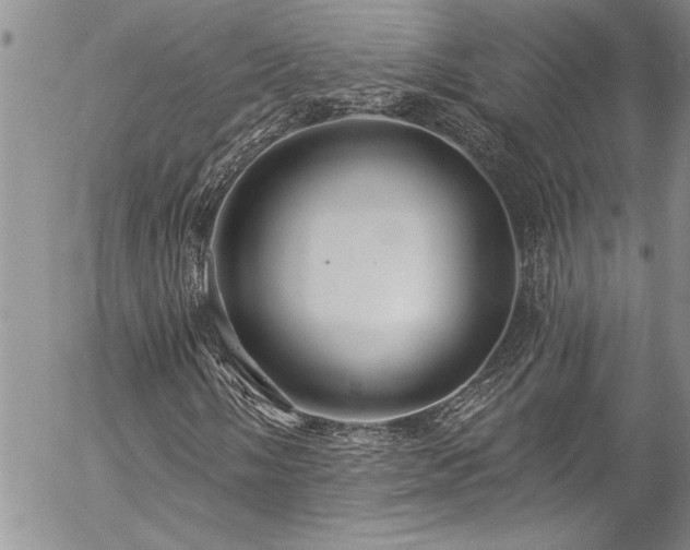 X0000057091058200509091308