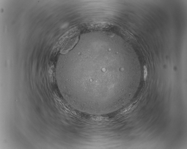 X0000057091059200509091307