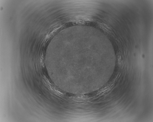 X0000057091060200509091307