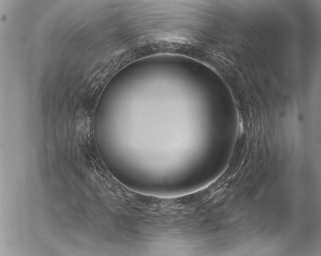 X0000057091061200509091307