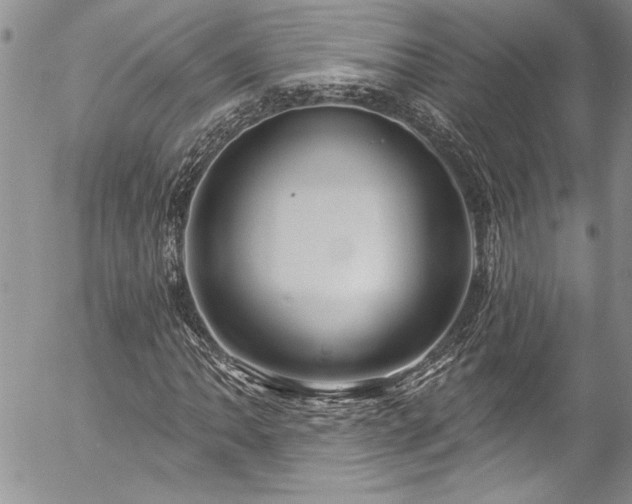 X0000057091062200509091307