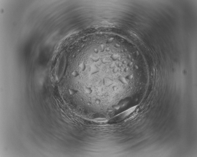 X0000057091063200509091307