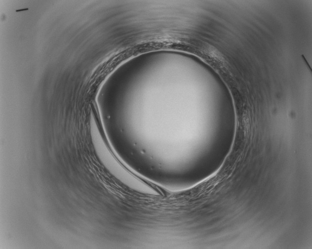 X0000057091064200509091307