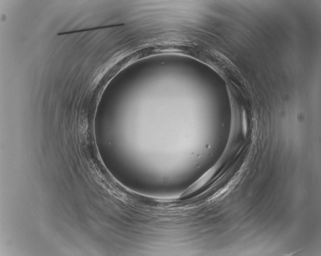 X0000057091065200509091307