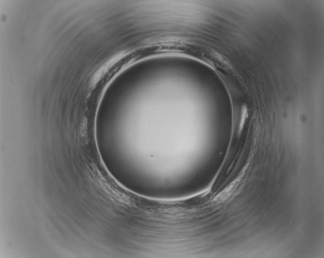 X0000057091066200509091307