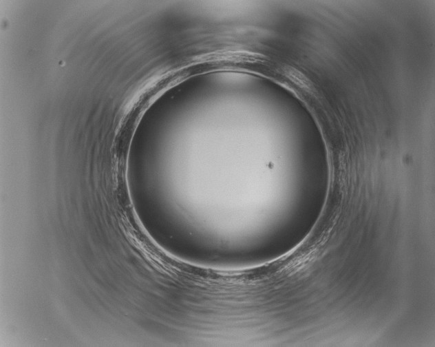 X0000057091067200509091307