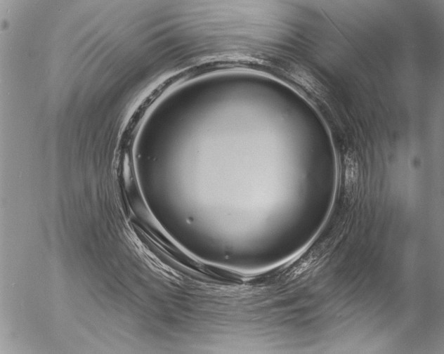 X0000057091068200509091307