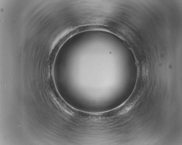 X0000057091069200509091307