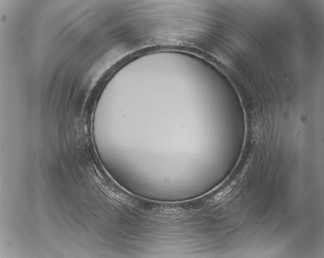 X0000057091070200509091307