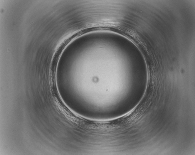 X0000057091072200509091307