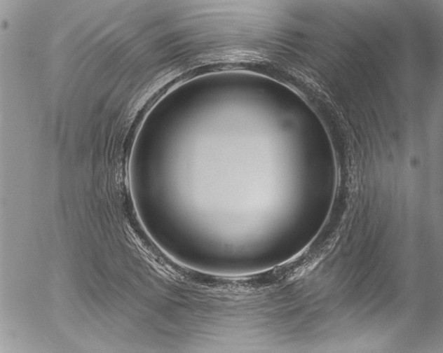 X0000057091073200509091307