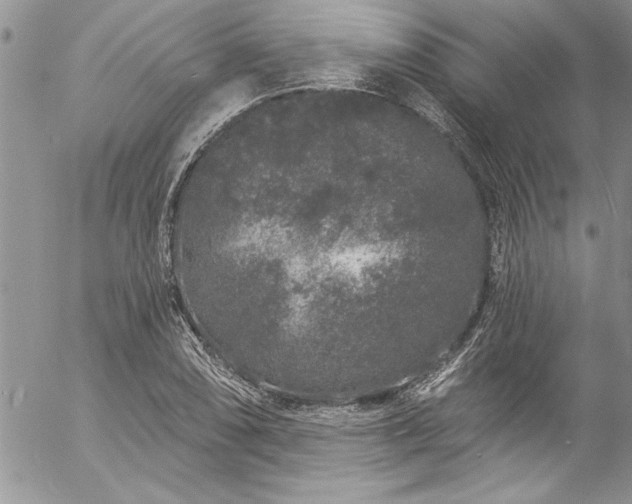 X0000057091074200509091307