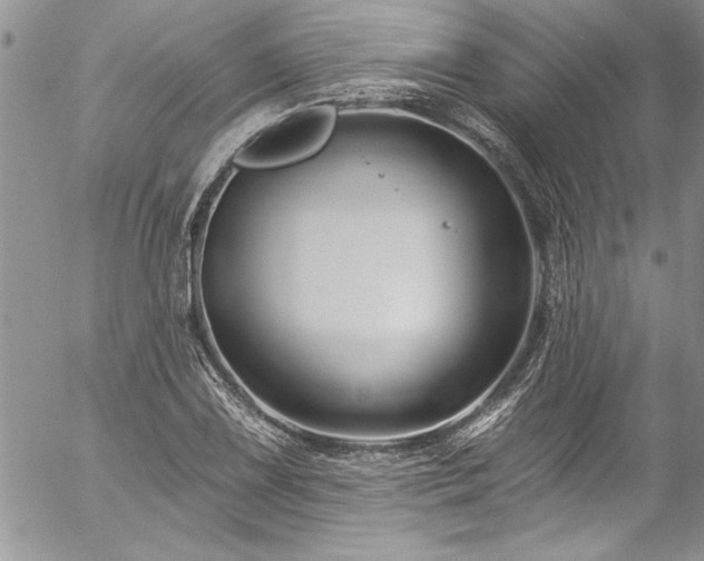 X0000057091075200509091307