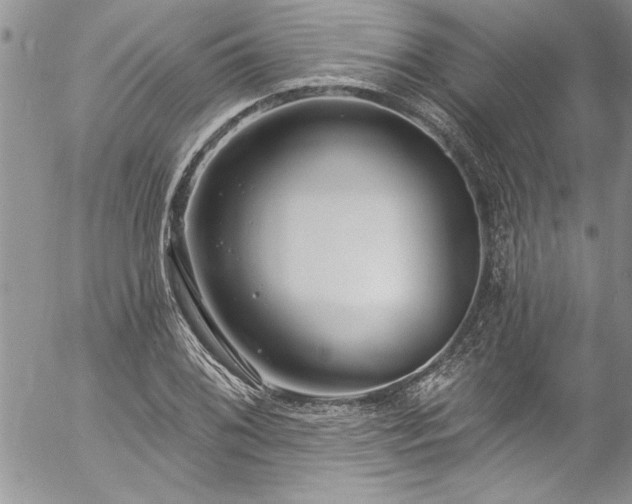 X0000057091076200509091307