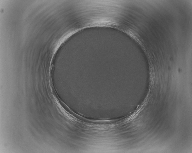 X0000057091077200509091307