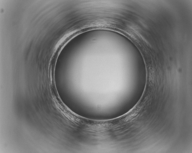 X0000057091078200509091307