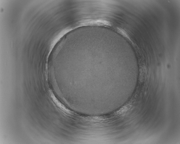 X0000057091079200509091307