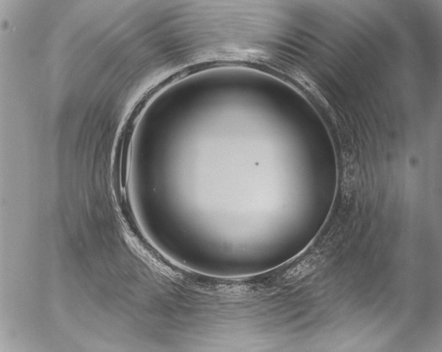 X0000057091080200509091307