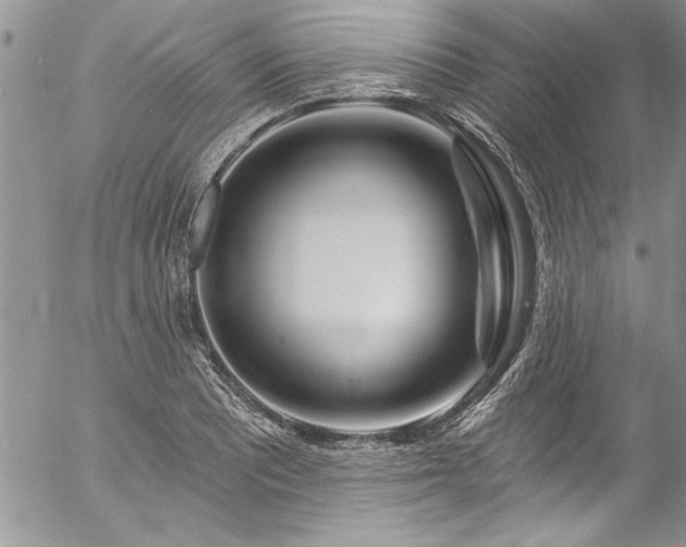 X0000057091081200509091307