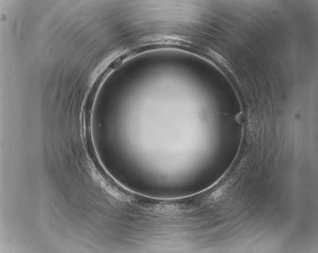 X0000057091082200509091307