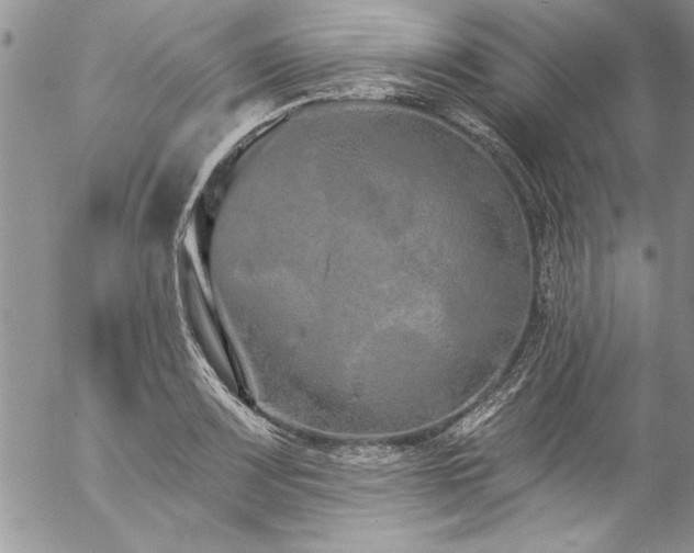 X0000057091083200509091307