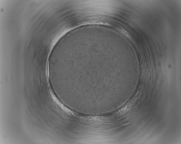 X0000057091084200509091307