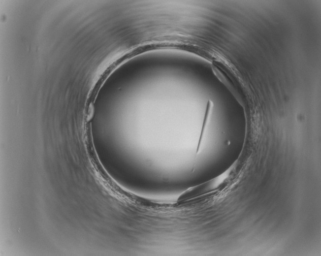 X0000057091085200509091307