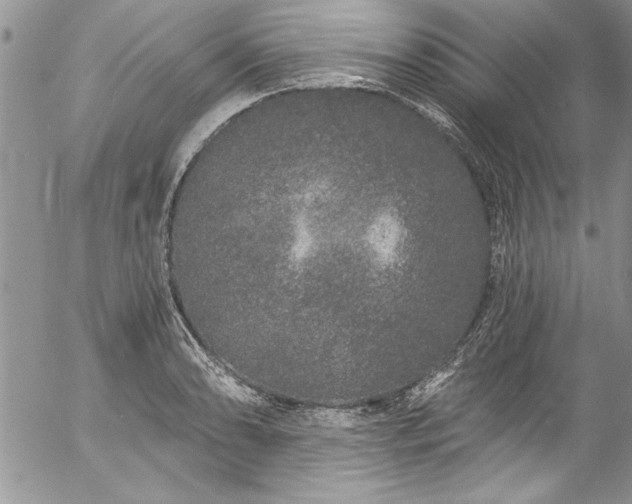 X0000057091086200509091307