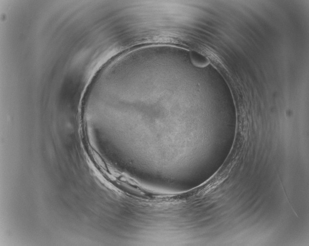 X0000057091087200509091307