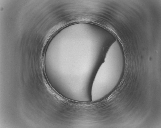 X0000057091088200509091307