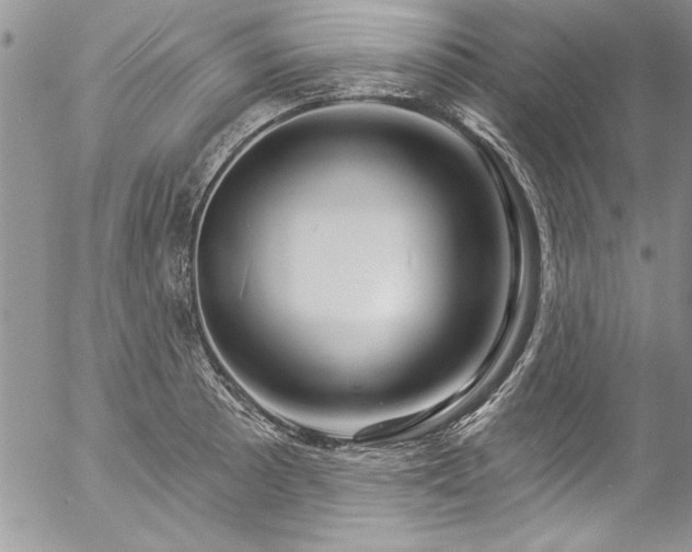 X0000057091089200509091307