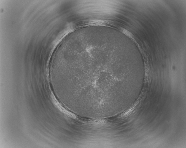 X0000057091090200509091307