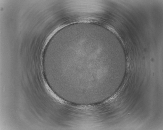 X0000057091091200509091307