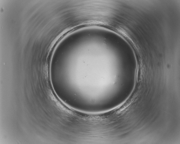 X0000057091092200509091307