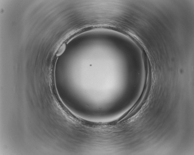 X0000057091093200509091307