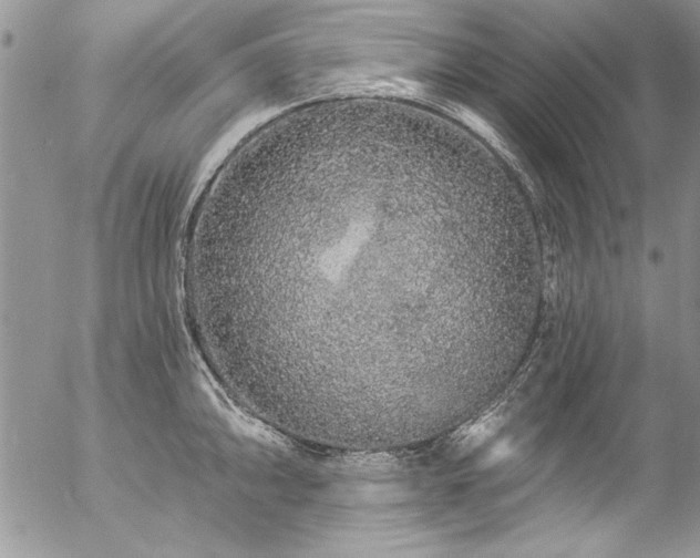 X0000057091094200509091307