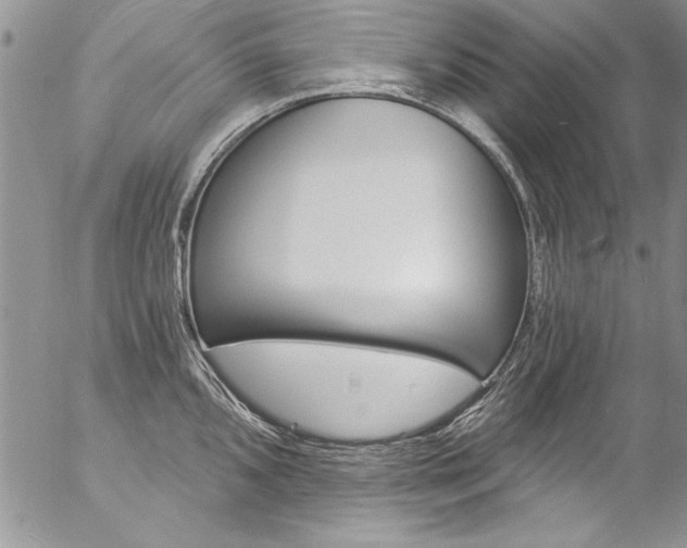 X0000057091096200509091307