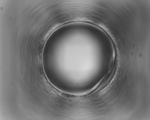 X0000057091097200509091307