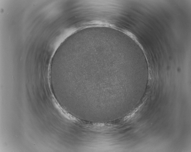 X0000057091098200509091307