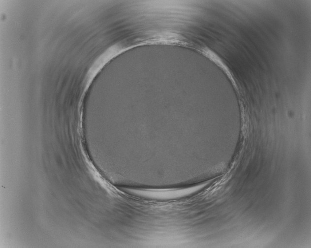 X0000057091099200509091307