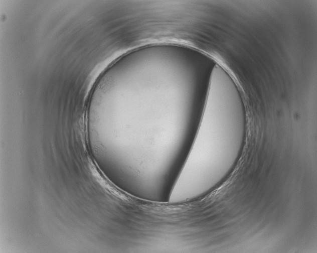 X0000057091100200509091307